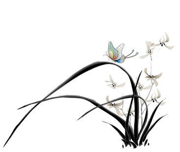 白色兰花的冰心雅韵