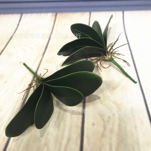 仿真蝴蝶兰叶片批发指南 广东工厂直销5片叶大号兰花叶子的选购与优势